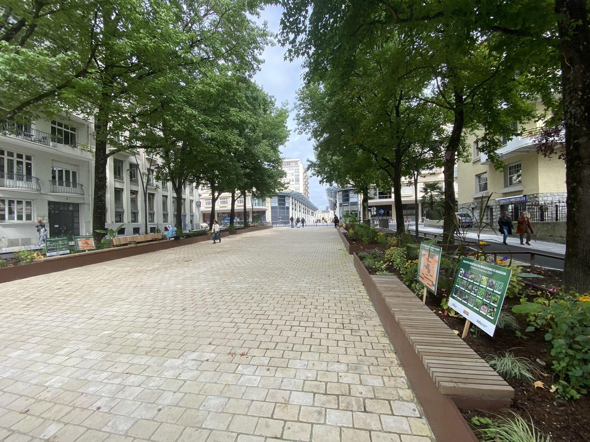 Aménagement paysager à Pau